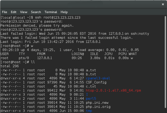 Linux sunucu üzerinde SSH terminali, UFW güvenlik duvarı ve IPTables port yapılandırma kuralları